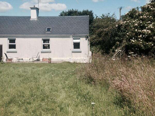 Hilsbils123's tweet photo. Our cottage is grand so. come in the mulberry season &amp; you'll have a feast (airbnb arnotts cottage east cork) http://t.co/h6bIBO3xxM