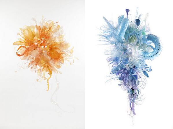 Mollusques bizarroïdes à découvrir immédiatement :  bit.ly/1lKDruH