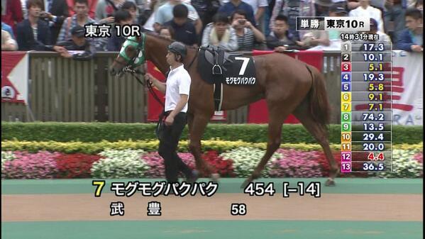 話題のおもしろ画像bot 武豊はなんちゅう名前の馬に乗るんや Nano2 Aloerina T Co Onc6heghll