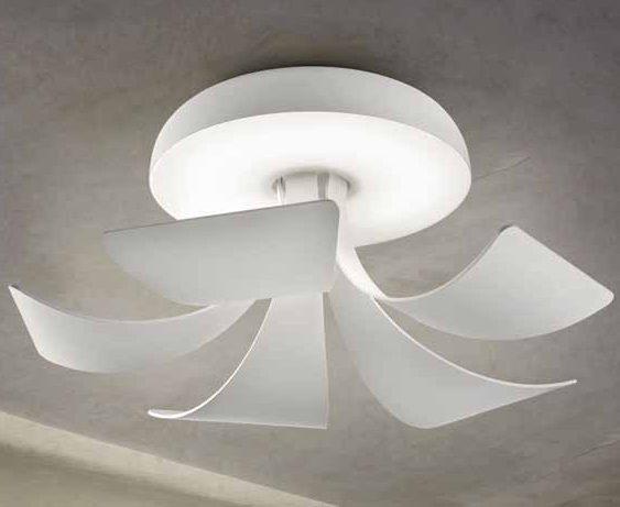 lightology's tweet photo. Morning Wake-Up Call! New to the Lightology Collection: the Blossomy Family. http://t.co/MUCVAGDPvc http://t.co/vUvcP41gjU