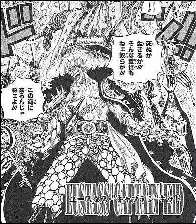 ワンピースでユースタスキッドの悪魔の実の能力とは 覇気や技など強さを紹介 Legend Anime
