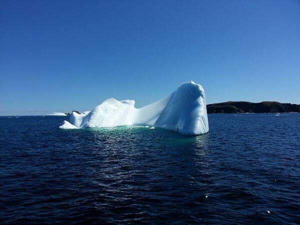 NL Classifieds tweet media