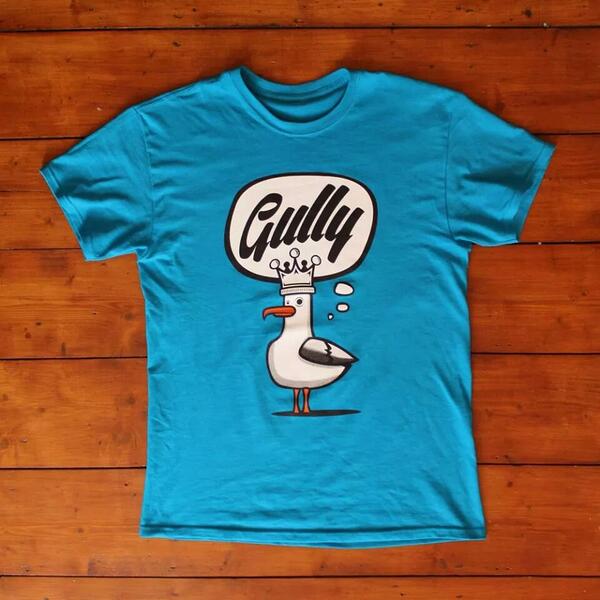 ThinkZebra's tweet photo. New gully colourways out now, loads are gone already so don't sleep http://t.co/dJ3gfKYx5i