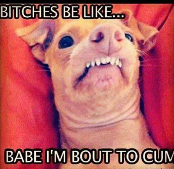 RatedRHumor's tweet photo. #BitchesBeLike http://t.co/n9rkJ3lCcU