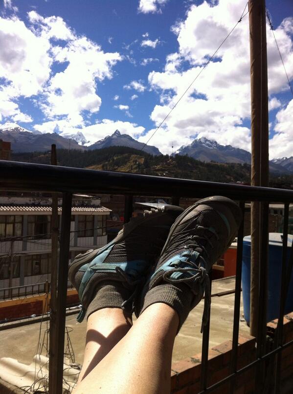 IRIS Alpine tweet media