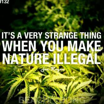 Blackskinnedkid's tweet photo. True http://t.co/Lez1dPLcz3