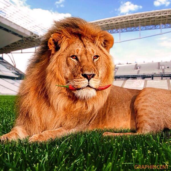 ilonavandervis's tweet image. Yeahhhh.....