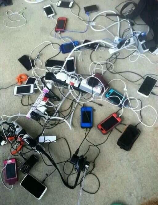 Swedish Canary 🇺🇸🇸🇪 tweet media