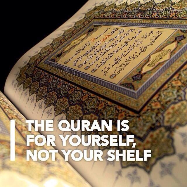 Islamic Reminders on Twitter: "The Quran is for yourself, not your shelf http://t.co/njM6VHMG3y" / Twitter