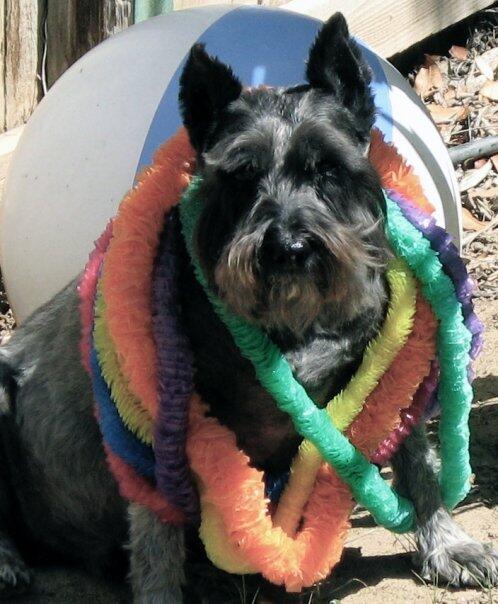 Somewhere Over the Rainbow.. youtube.com/watch?v=OX8V5J…