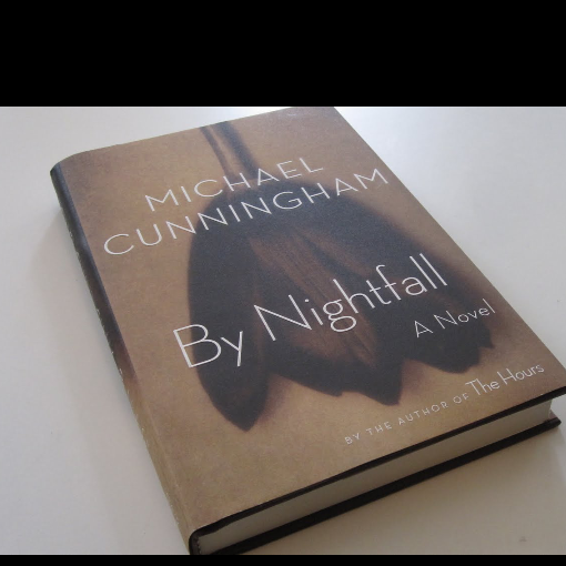 VirginiaDara's tweet photo. @CasaLettori tra le mie #copertineamate per esempio c'è questa di #ByNightfall, ma mai usata da .@libribompiani http://t.co/wljAOcS6OL