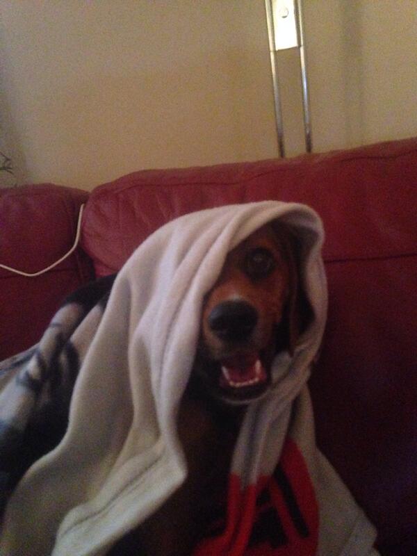 E.t phone home