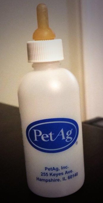 Little puppy formula bottles just in case :) http://t.co/kcLme5q3Bb<a href="/tag/bestyearever"class="tags"><span>#bestyearever</span></a>