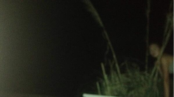 t_bookiee's tweet image. #wheresabby