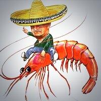 OlharCidade's tweet image. Upa upa cavalinho #TaTenoCopa #bra #internetshow