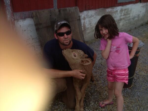 milminer's tweet photo. Another new little calf http://t.co/JpGN7lJv4t