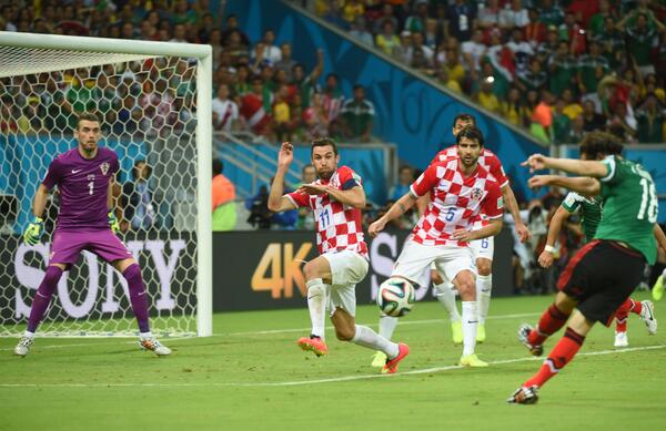 View image on Twitter