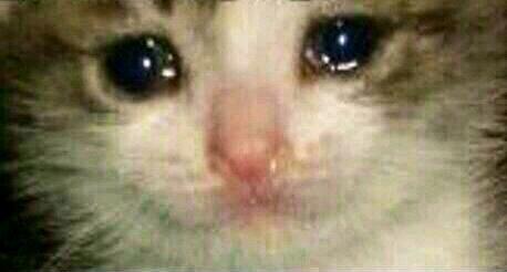 Quiero llorar de la emoción...  #MexicanosAlGritoDeOctavos #miseleccionmx #Mundial2014 #Brasil2014