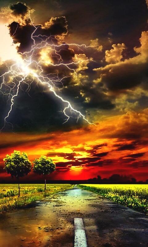 DanielParraco's tweet photo. La gente si accontenta di sopravvivere,io voglio vivere http://t.co/L9ltHJuzOU