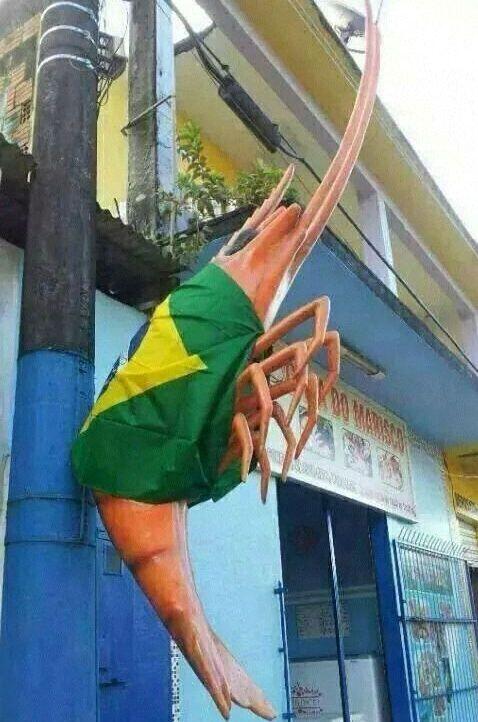 OlharCidade's tweet image. Criatividade do Brasil #bra #TaTenoCopa #internetshow