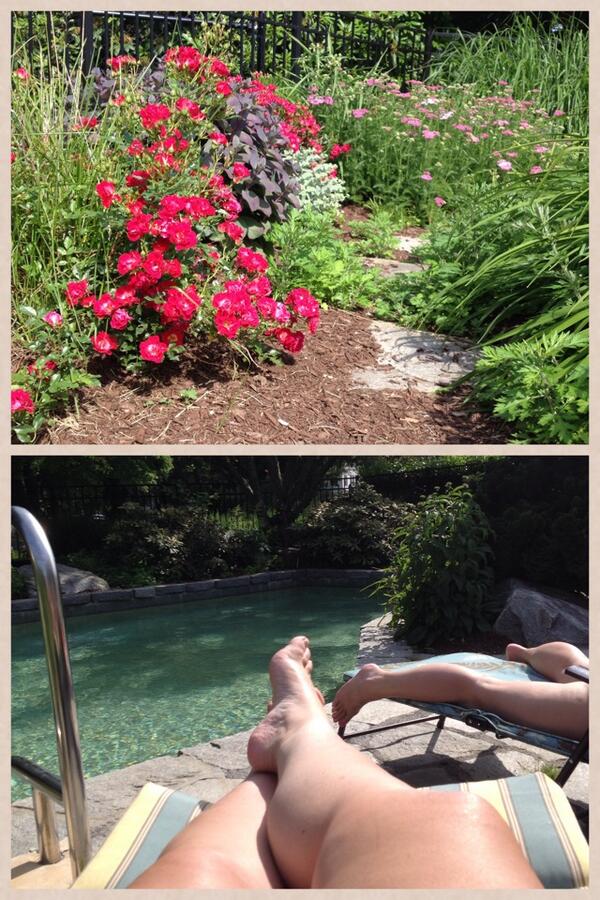 britnicaly4's tweet photo. This day is ending better☀️👯 thanks girlfriend http://t.co/cdEiRFrSe6 http://t.co/uKVbGKtopK