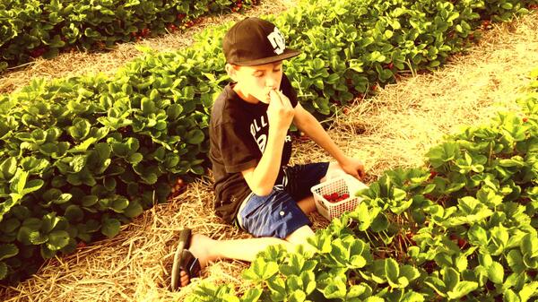 Michelle Baker (@michelled_baker) on Twitter photo 