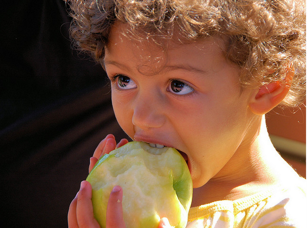 ChelanFresh's tweet photo. Talk to your kids about healthy snack choices like apples! Visit us at http://t.co/LU5GpO6BAJ #apples #wmtfresh http://t.co/MepcgPSs8F