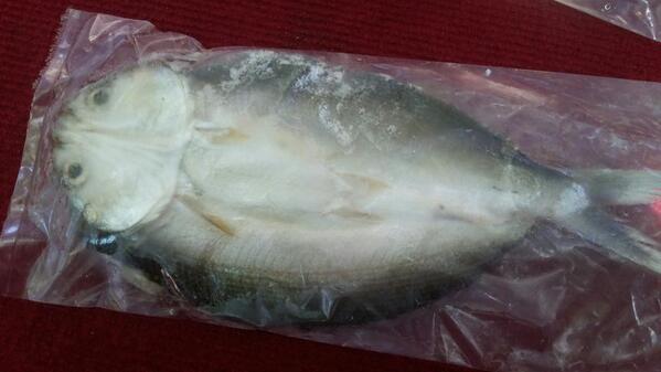 Ini dia bandeng tanpa duri minaku. Harga 1 pcs Rp. 7000. Bisa dibakar sendiri,pepes,semur,dll.duri bandeng lewaaattt