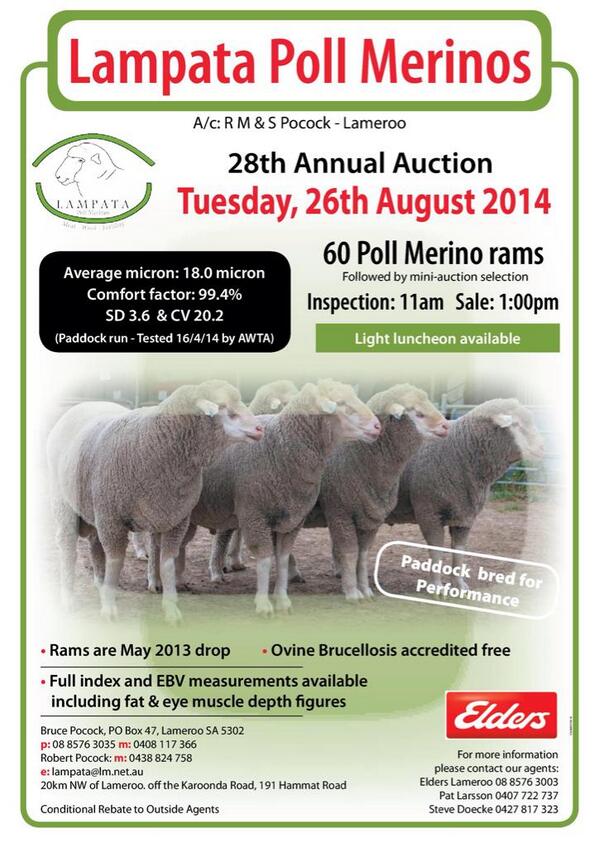 Robert Pocock tweet media