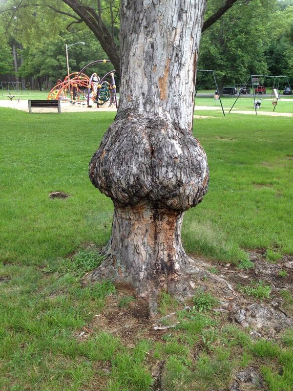 ProblemsOneonta's tweet image. If you don't know what this is, you had no childhood.