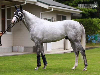 競馬ラボ على X: 競馬ラボ على X: