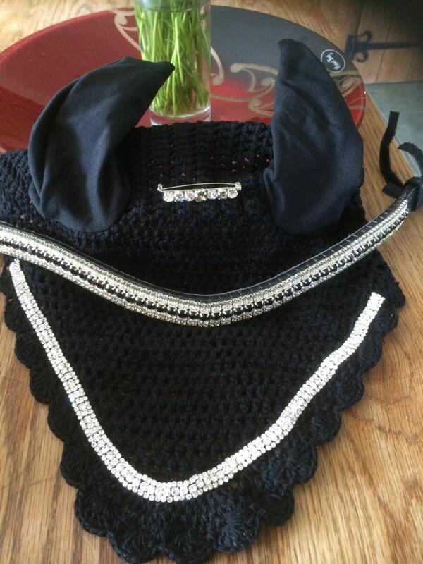 RiddSarah's tweet photo. My#mare#newbling#competitions well bunny is a beautiful girl and deserves it. http://t.co/vn4jZR434g