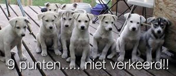 PetLifeMagazine's tweet image. 