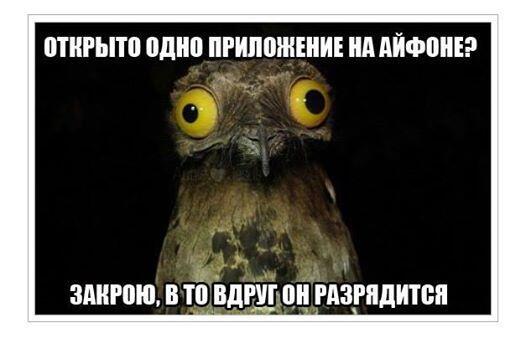 CheckandPay's tweet image. Открыто одно приложение на #iPhone? Закрою, а то вдруг разрядится. #fun #humor #rt #followme