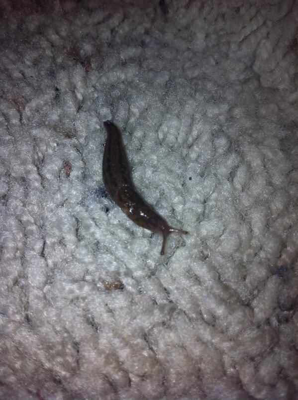 Fakie's tweet image. What is @banks doing in my house again