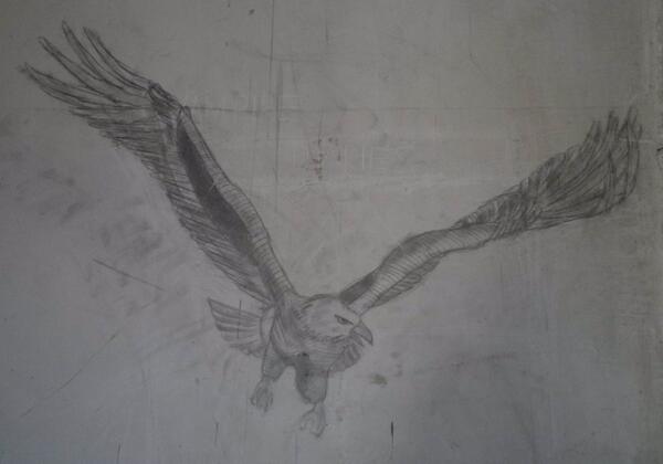 MrNobody3122's tweet photo. The eagle http://t.co/HfLGVBPjbt