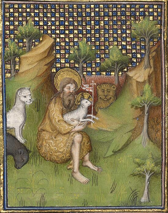 сотворение животных. гипотезы сотворения мира креационизм. древняя индия священная корова. религиозное животное. прп герасим иорданский.