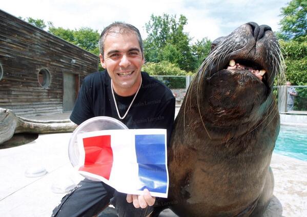 Rem_blogger's tweet photo. #Watson l'#otarie, encore plus douée que Paul le poulpe ! http://t.co/tlMV5xhZ1T #CDM2014 #Bleus #AllezLesBleus http://t.co/GI3LBUtHjY