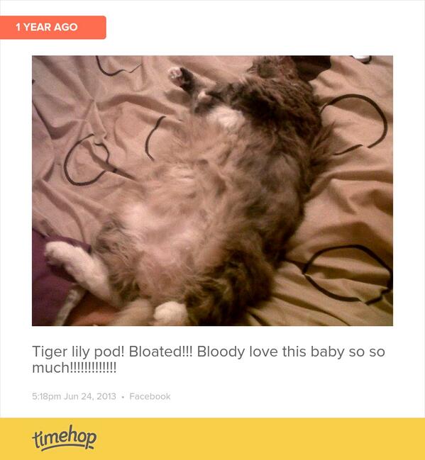 linda hacking tweet media