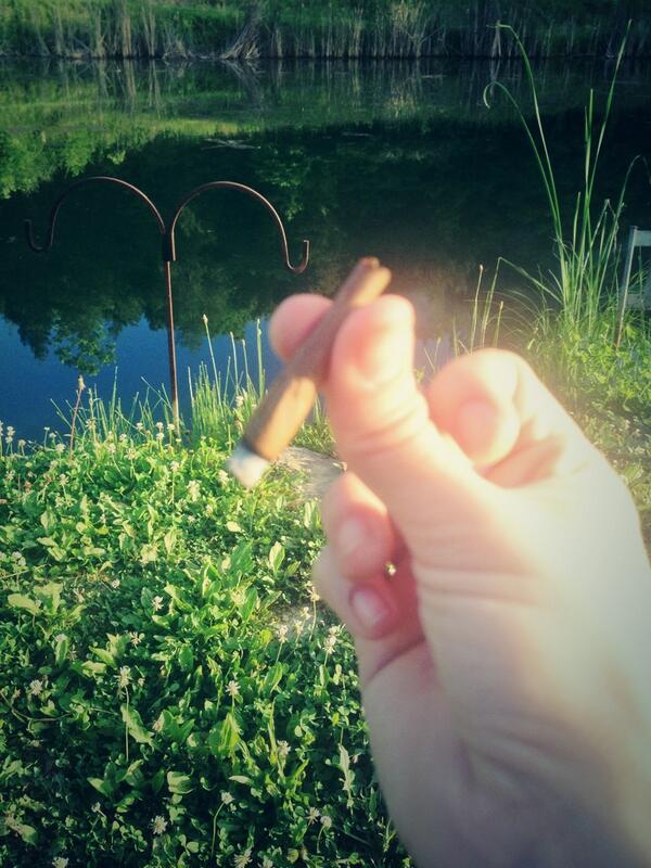 highkelso's tweet image. Blunts and fish. #Naturespeaks #Blunts #gettinglifted