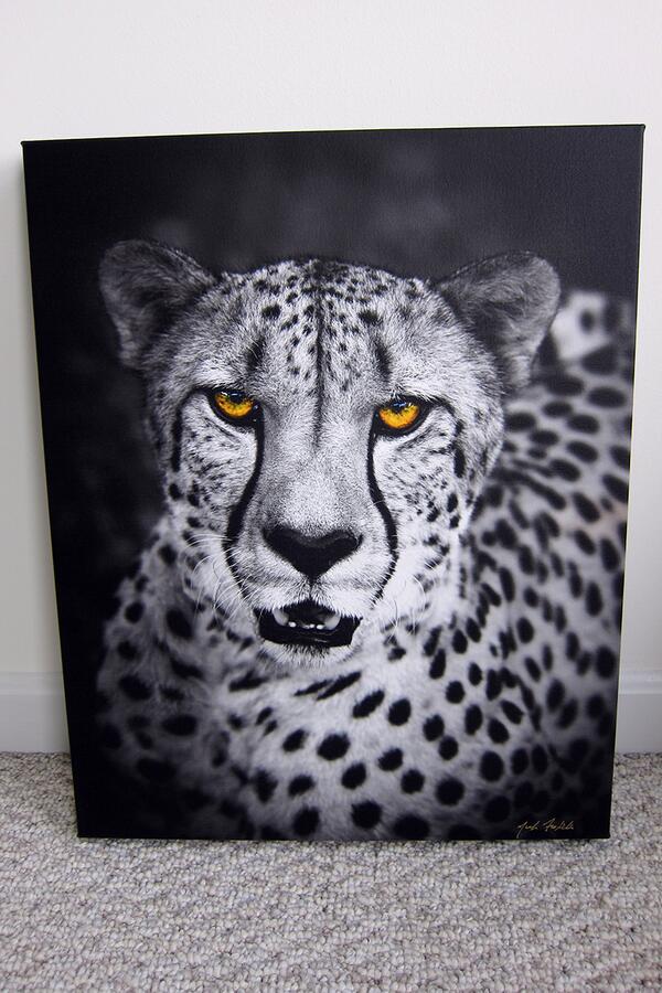 Luxe_Prints_'s tweet photo. RT @MarkFrolick: Another amazing canvas by @APCpro WOW! http://t.co/6b0uVQ5vhE #APCub