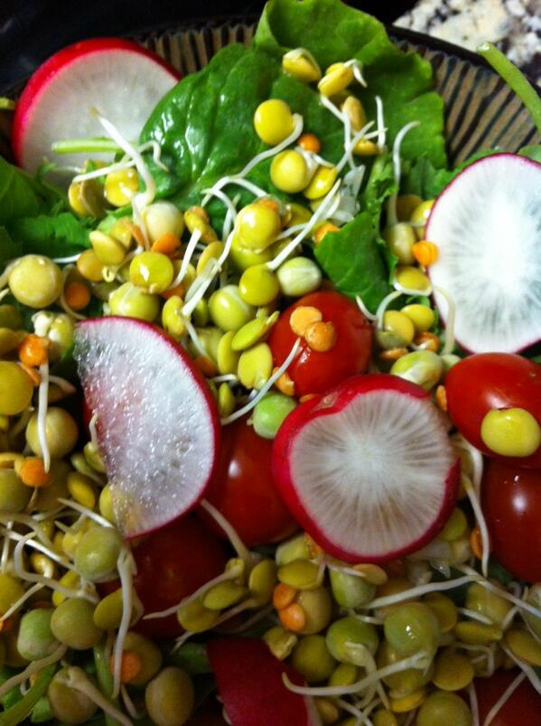 #sunsprouts are delicious and nutritious #lovemysalad #raw #eatclean