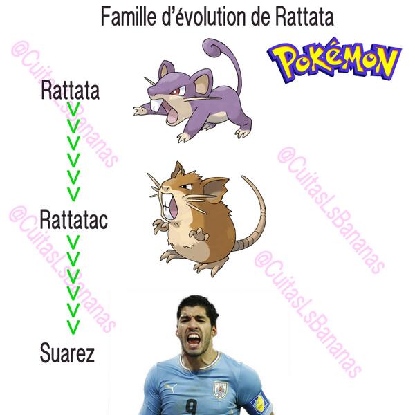 https://pbs.twimg.com/media/Bq63jToCcAALuZO.jpg