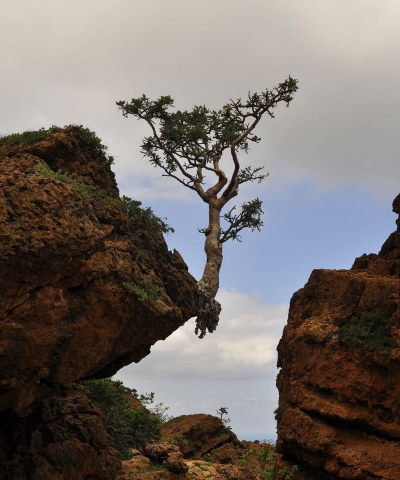 Odd situations won't throw us off balance.