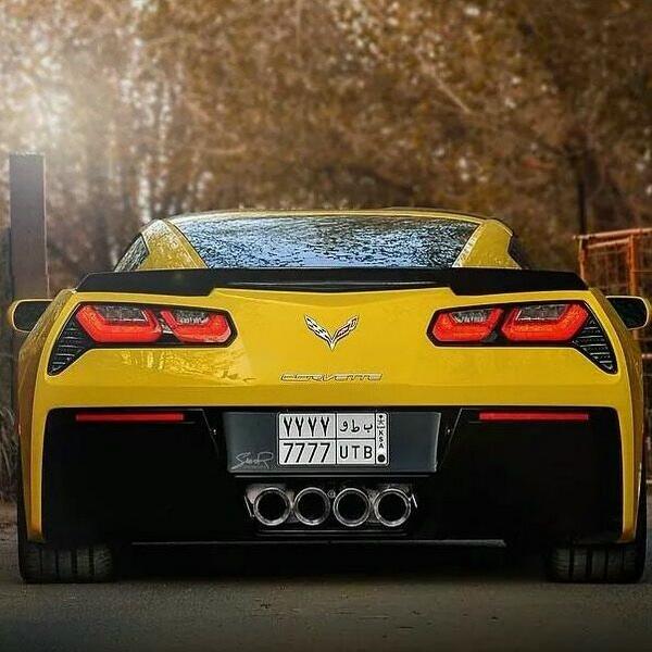 Cuartodmilla's tweet photo. Stingray! http://t.co/EnpWIhaVdp