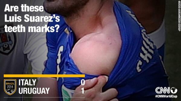 View image on Twitter