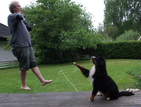 Strong with the force, this dog is. Much anger I sense. #darkside #forcechoke