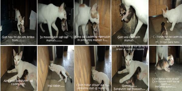 Cadek_Emn1's tweet photo. Cicin dan Mamah http://t.co/K6DRy3x4Px