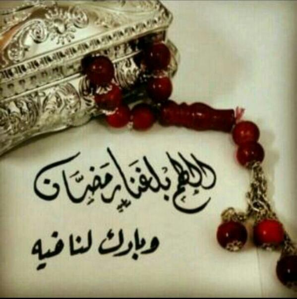 8599097's tweet photo. http://t.co/vlLIFaOggm