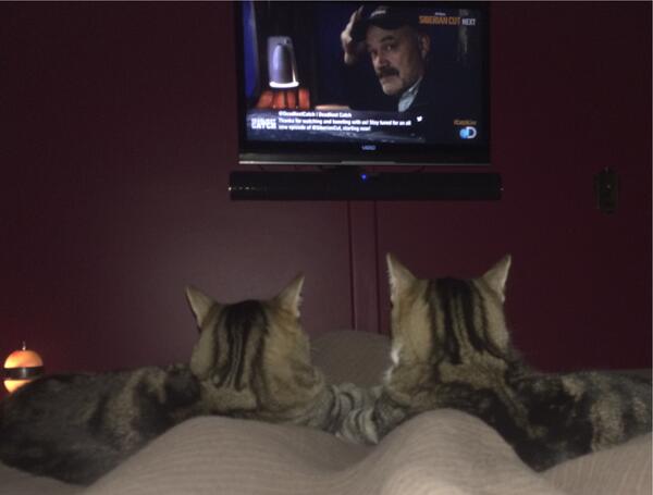 David Brechbiel tweet media